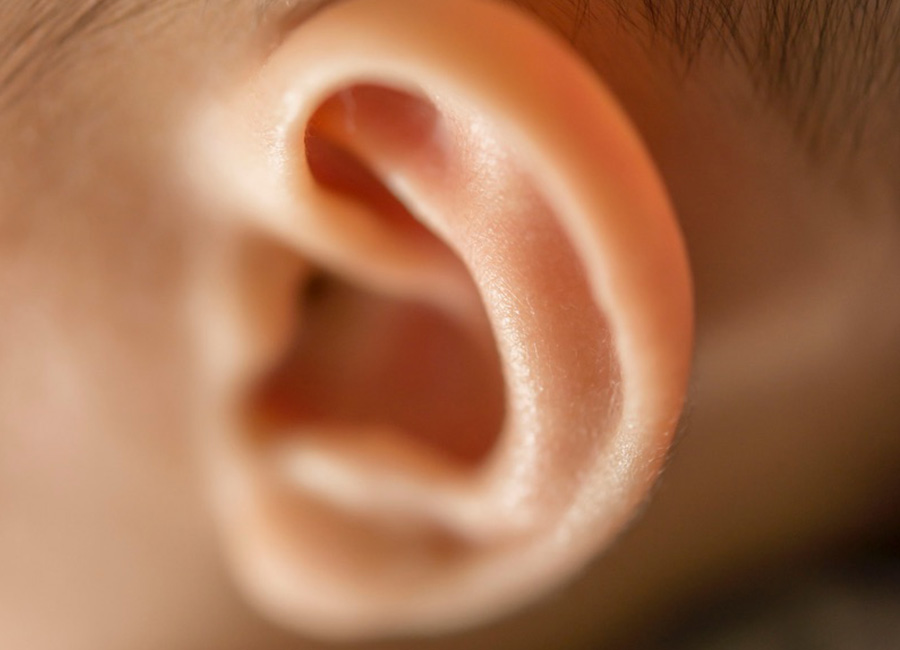 耳の病気